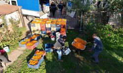 Bodrum Mandalini Türkiye'nin dört bir yanına ulaşıyor