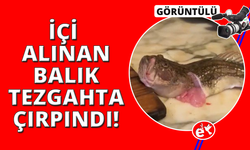 İçi temizlenen balık dakikalarca çırpınmaya devam etti