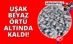 Uşak'ta kartpostallık kar manzaraları