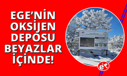 Harikalar diyarı Kazdağları beyaz örtüsü ile bir başka güzel