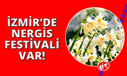İZDENİZ'den Nergis Festivali'ne özel seferler
