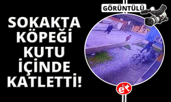 Manisa'da çocukların gözü önünde köpeği katletti