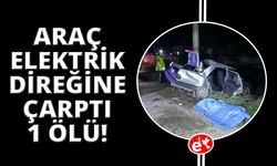 Manisa'da otomobil elektrik direğine çarptı