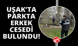 Uşak'ta parkta erkek cesedi bulundu