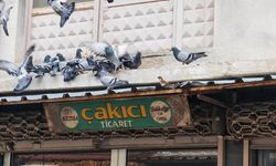 Balkonunu kuşlara sofra yaptı