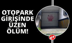 Manisa'da otopark girişinde bir kişi ölü bulundu