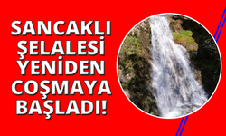 Karşıyaka'nın saklı cenneti Sancaklı Şelalesi'nde su sesi yankılanıyor