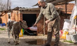 Köylüye can suyu: Destek 1,4 milyara çıktı