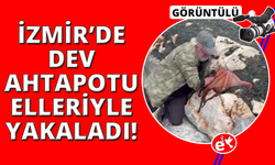 Görenler gözlerine inanamadı: Kayalıktaki dev ahtapotu elleriyle avladı