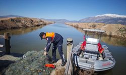 Işıklı Barajında kaçak avcılığa geçit yok