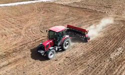 Kütahya'da çörek otu üretimi gelişiyor