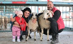 Denizli Büyükşehirden üreticiye "Bereketli" destek