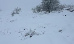 Mart sonunda Karıncalı Dağ'da kar sürprizi