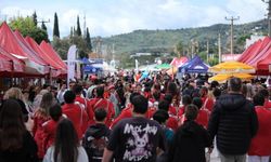 Bodrum'da Acı Ot Festivali'ne insan seli