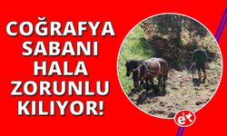 Aydınlı üreticinin karasabanla zorlu mücadelesi