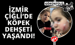 İzmir'de köpek dehşeti: 3 yaşındaki Ada'nın yüzü pençe ve ısırıkla dolu