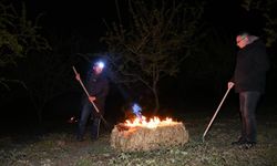 Manisa'da zirai don nöbeti