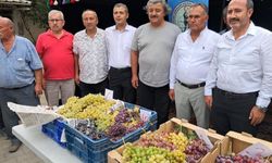 Avşar Üzümü coğrafi işaretle tescillendi