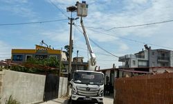 Sazlı’da leylekler yeni yuvasına kavuştu