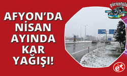 Lapa lapa yağan kar ilçeyi beyaza bürüdü