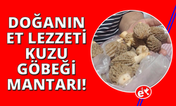 Doğadan gelen et lezzeti: "Kuzugöbeği"