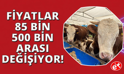 İzmir'de kurban pazarları kurulmaya başladı