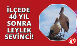Kuşadası'nda 40 yıl sonra leylek sevinci