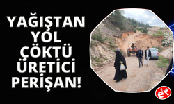 Yol çöktü, mahalleli 3 aydır tarlasına yürüyerek gidiyor