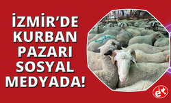 İzmir kurban pazarlarında sosyal medya rüzgarı