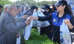 Salihlili üreticilere 34 bin sebze fidesi