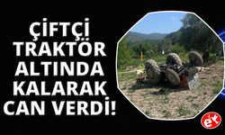Tarlasını sürerken traktörün altında kalarak hayatını kaybetti