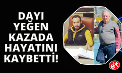 İzmir’de feci kaza: Dayı ve yeğen hayatını kaybetti