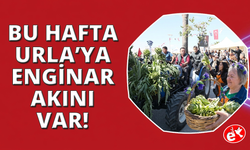 Urla'da Enginar Festivali başladı