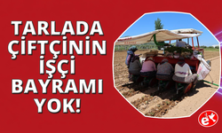 1 Mayıs Onlar İçin Sadece Bir Takvim Yaprağı