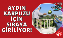 Aydın karpuzu için gün doğmadan sıraya giriyorlar