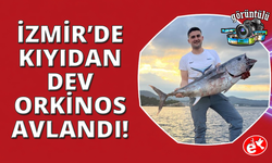 İzmir'de kıyıdan dev orkinos yakaladılar, o anlar kamerada