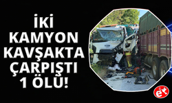 Manisa'da iki kamyon virajda çarpıştı
