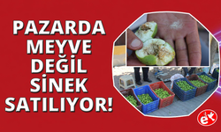 İlek pazarlarında sezon başladı, kilosu 500 TL'ye alıcı buluyor
