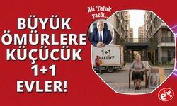 1+1 Evlere Sığan Hayatlar