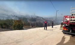 İzmir'de ormanlık alanda yangın, fabrikalar tahliye edildi