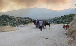 Alevlerden kaçtılar, hayvanlarını ve kendi canlarını zor kurtardılar