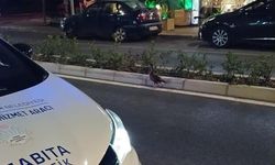 Trafiği durdurup ördeği kurtardılar