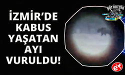 Seferihisar'a kabusu yaşatan ayı vurularak öldürüldü