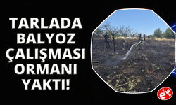 Tarladaki 'balyoz' çalışması ormanı yakmış: Arazi sahibi tutuklandı