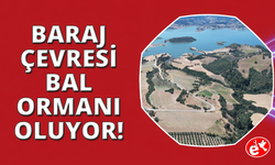 Manisa'da baraj çevresi bal ormanına dönüşüyor