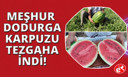 Denizli’nin lezzet simgesi Dodurga Karpuzu tezgâhlara indi
