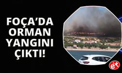 Foça’daki orman yangınına havadan ve karadan müdahale