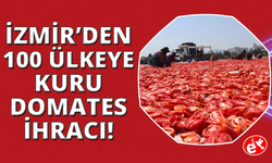 İzmir'de kurutulmuş domatesler ovayı kırmızıya boyadı