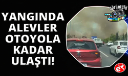 Manisa'da orman yangınında alevler İzmir-İstanbul Otoyolu'na ulaştı