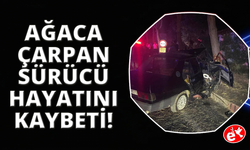 Köpeğe çarpmamak için ağaca çarpan sürücü hayatını kaybettti